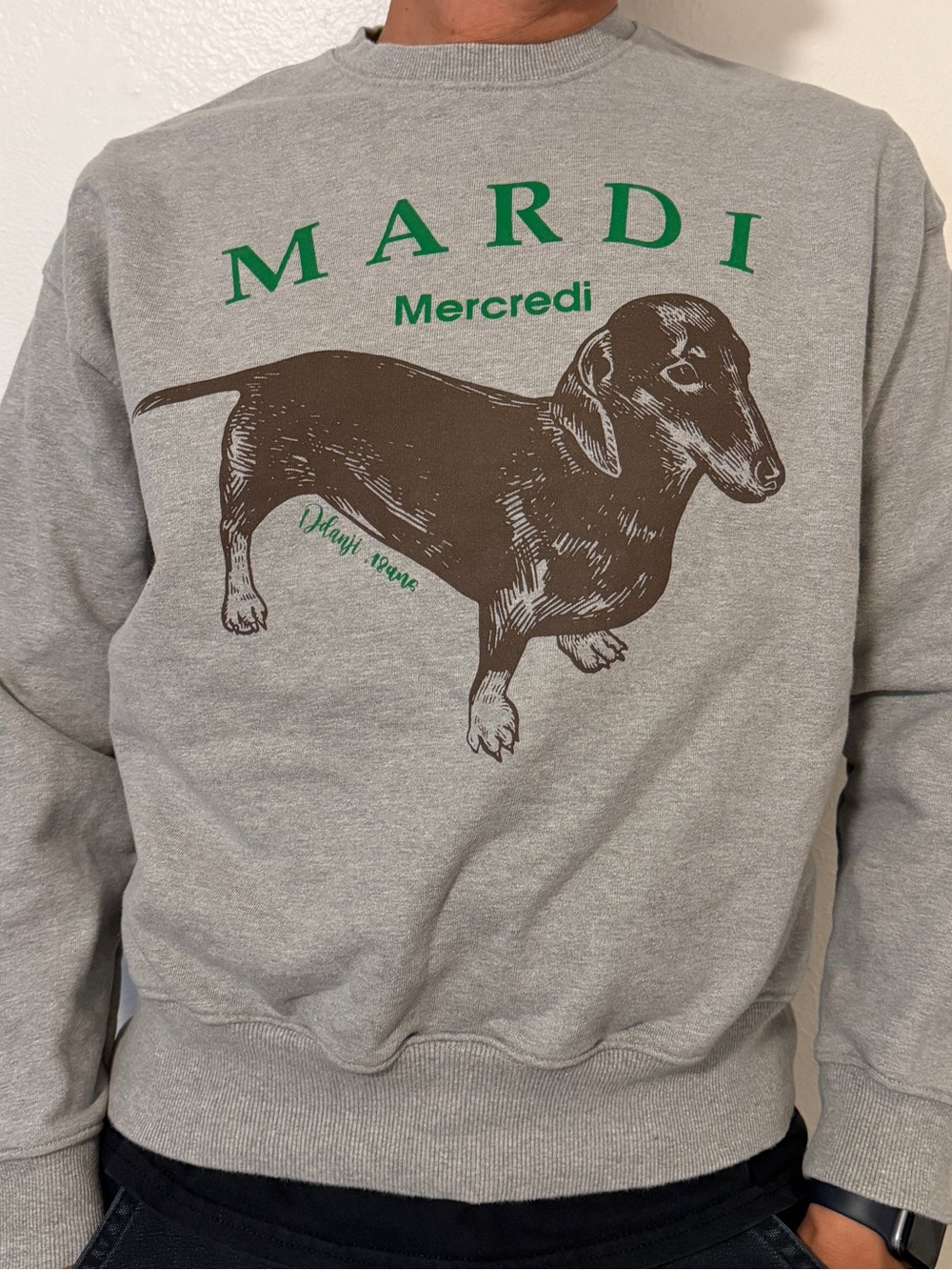 Mardi mercredi dog Graphic Sweatshirt - Dachshund Print